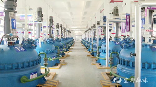 宜昌誠(chéng)凱化工科研投入超500萬(wàn)元，新興能源技術(shù)研發(fā)成新引擎