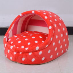 當(dāng)陽(yáng)光射進(jìn)陰霾 蘑菇街優(yōu)店與寵物日用品的情感聯(lián)結(jié)